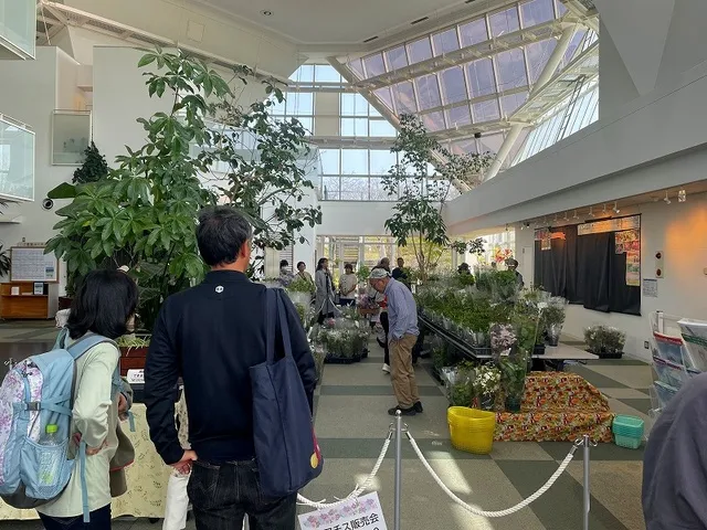 クレマチス販売会