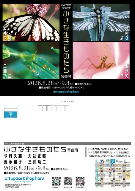 ハル7周年企画～小さな生きものたち写真展