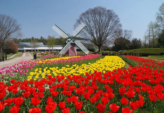 第6回 ロハスパーク加西＠フラワーセンター