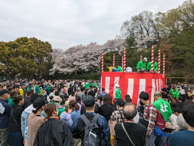 向山公園桜まつり