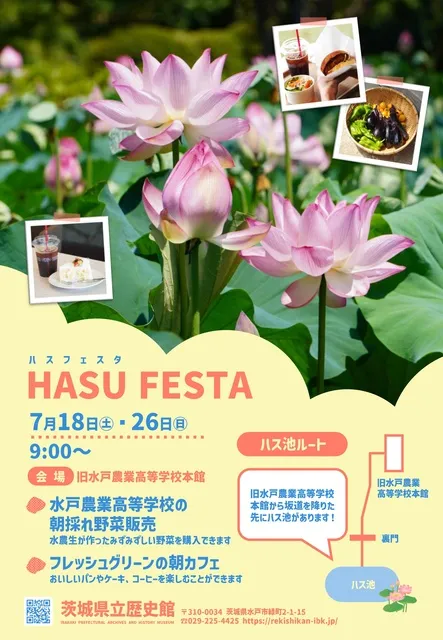HASU FESTA