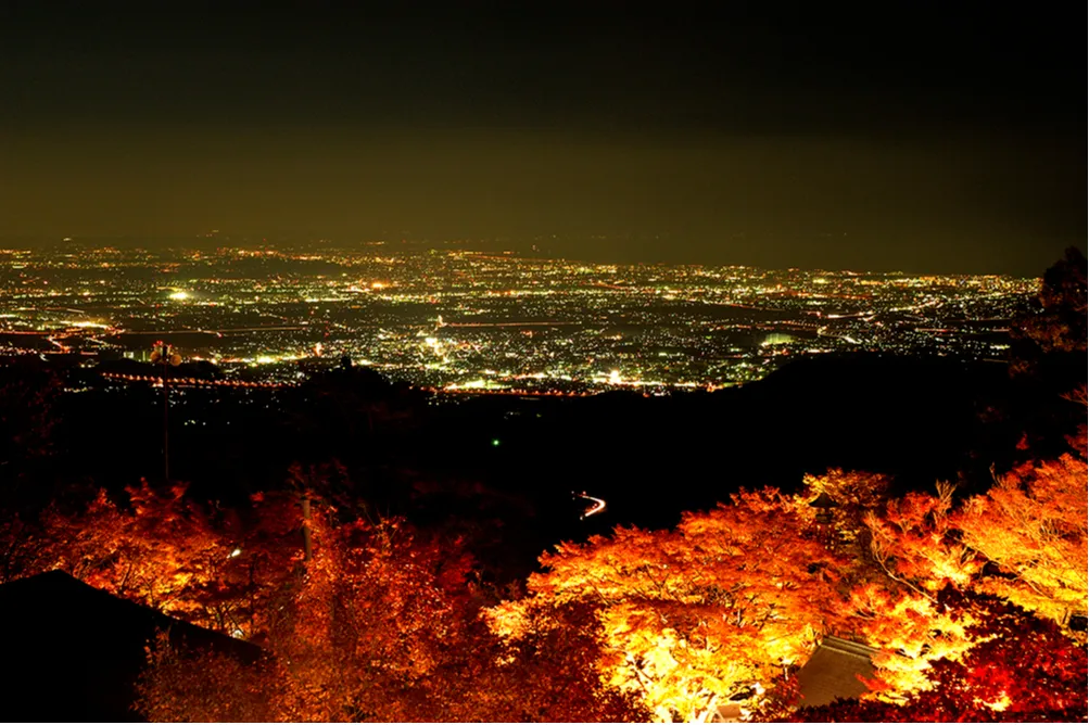 大山寺大山阿夫利神社下社の紅葉情報_3