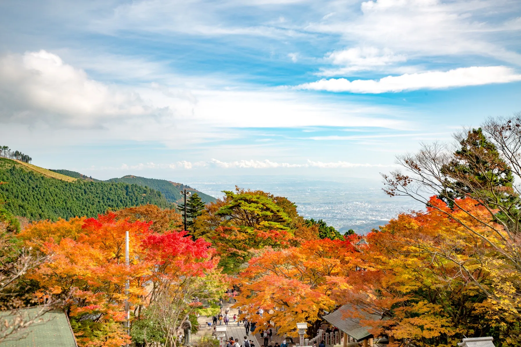 大山寺大山阿夫利神社下社の紅葉情報_4