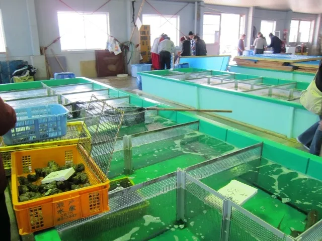 加太昼市（3月）