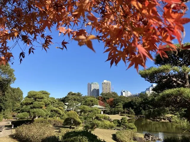 【紅葉・見ごろ】見浜園