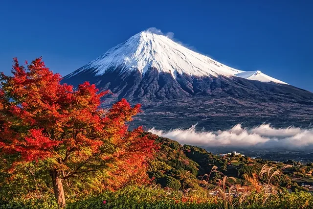 宮崎泰一写真展「富士山と藤枝への想い 2026」