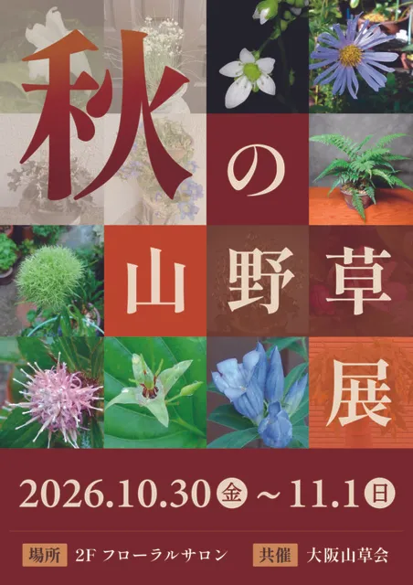 秋の山野草展