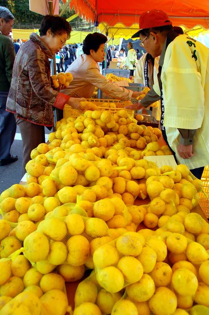 第17回上之保ゆず祭り