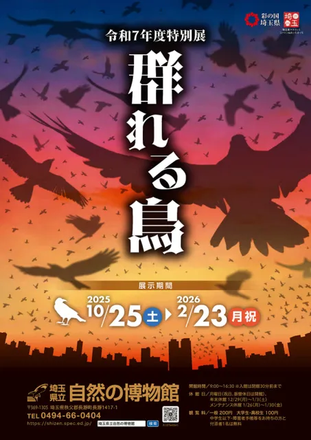 特別展「群れる鳥」