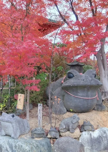 【紅葉・見ごろ】如意輪寺