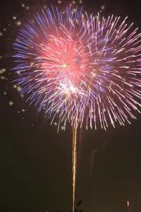 吉野川市納涼花火大会