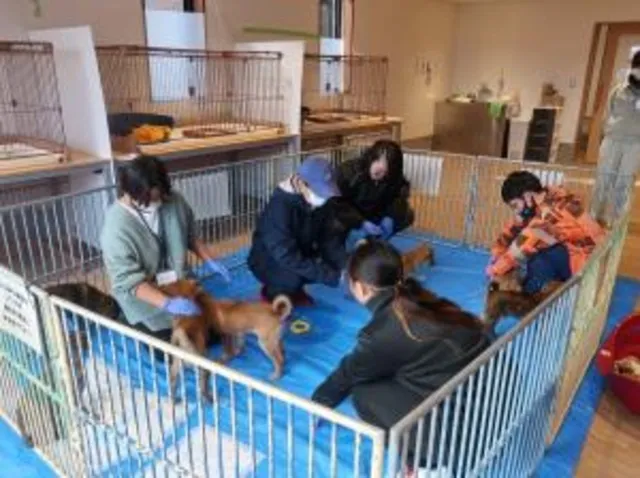 学生による保護犬・保護猫のお世話体験 in summer