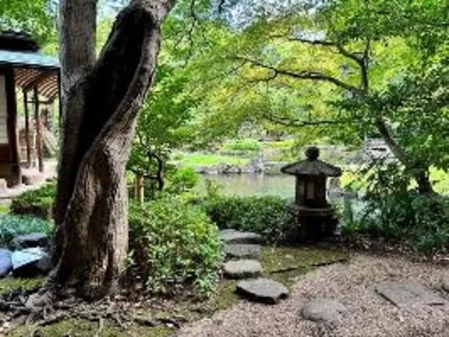 靖国神社内の神池庭園を囲む茶会_1