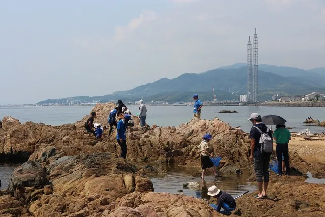 淡路島国営明石海峡公園　親子海辺のいきもの観察会