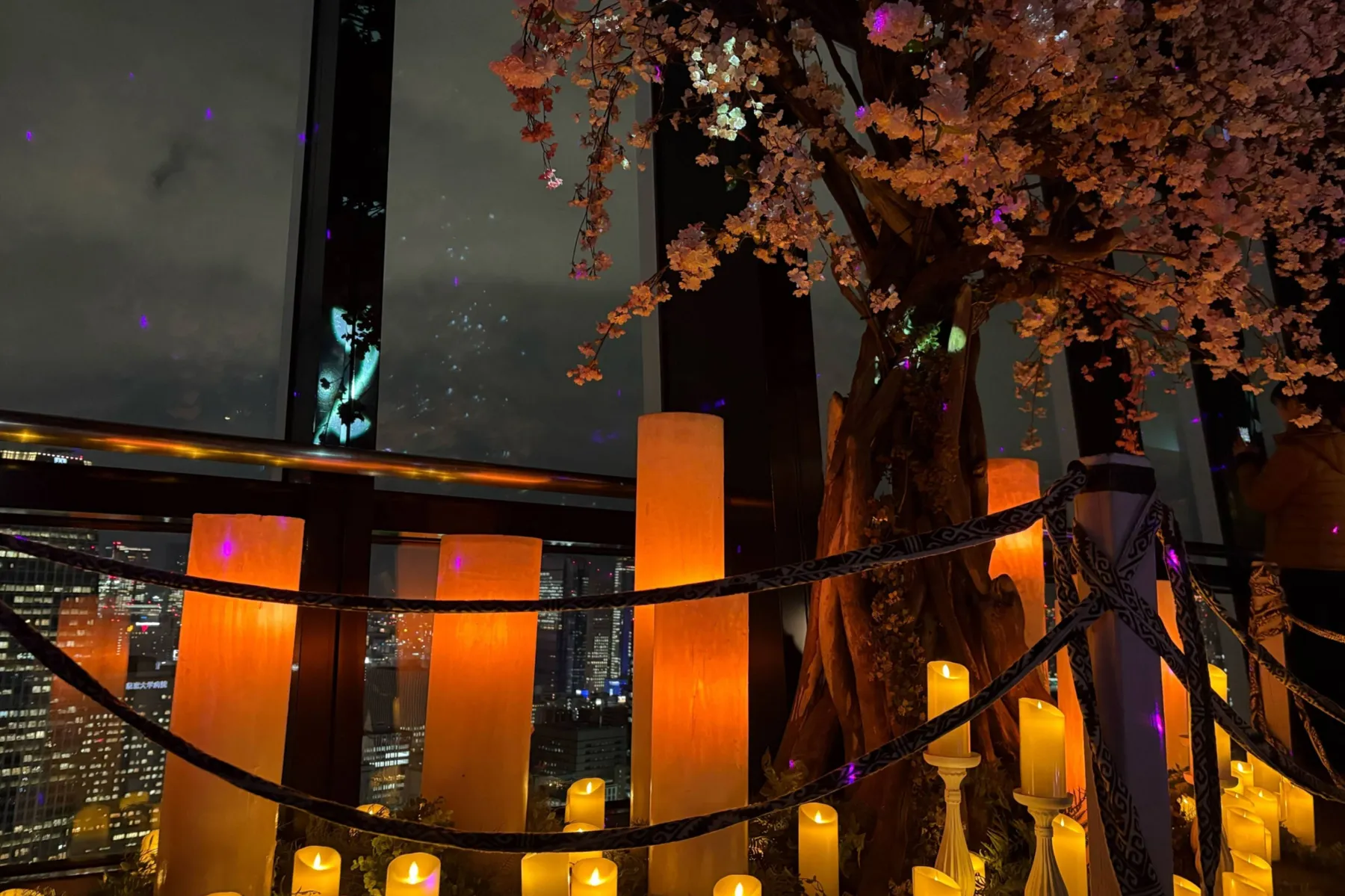 TOKYO TOWER CITY LIGHT FANTASIA - Spring Concerto 2026 -_11