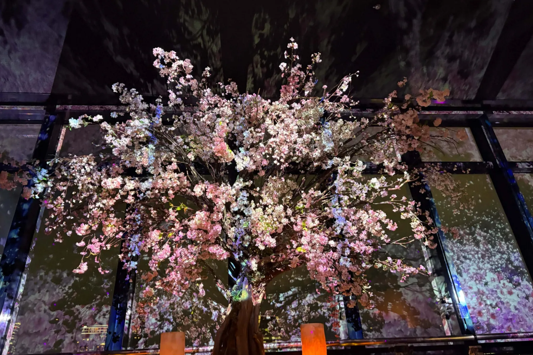 TOKYO TOWER CITY LIGHT FANTASIA - Spring Concerto 2026 -_12