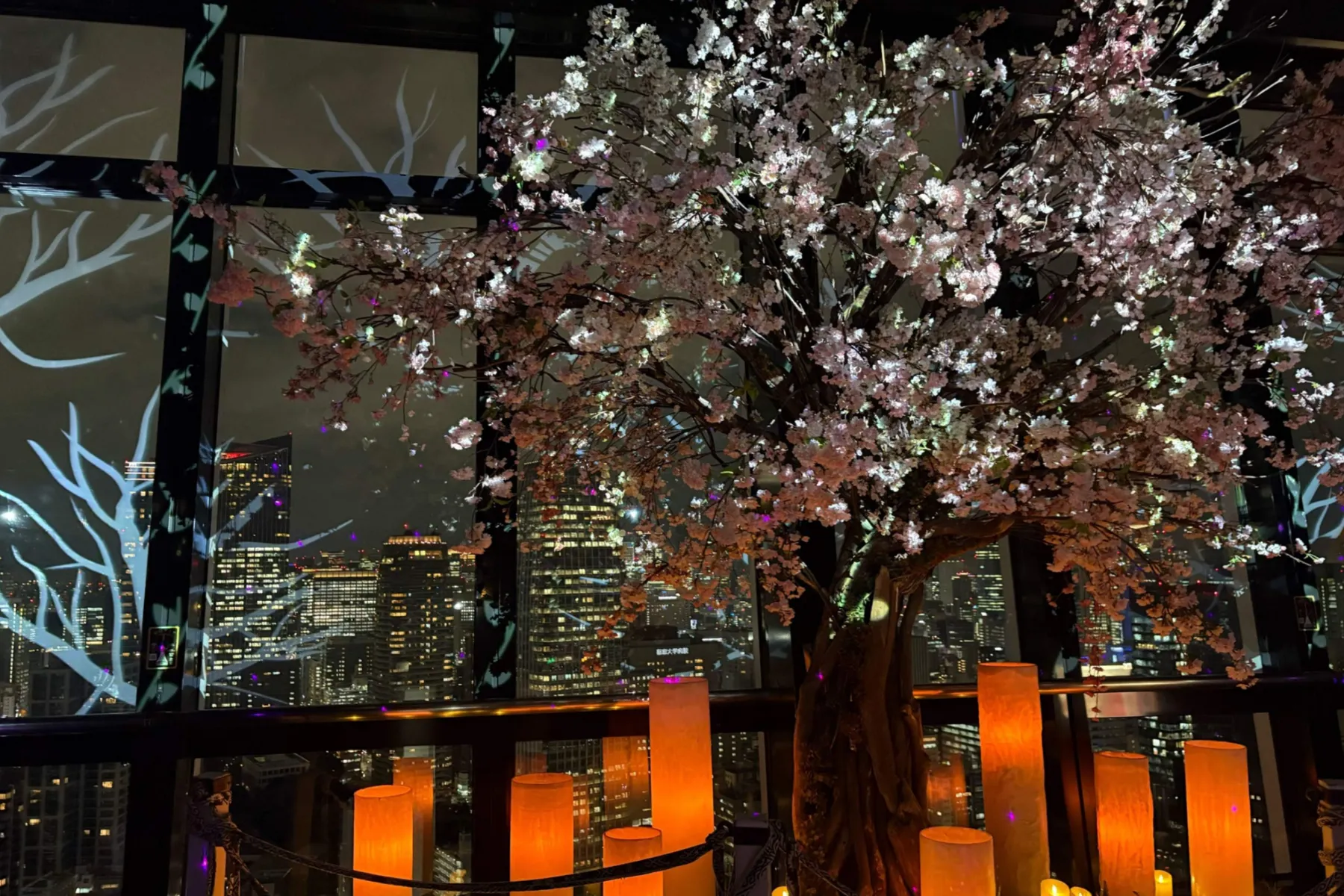 TOKYO TOWER CITY LIGHT FANTASIA - Spring Concerto 2026 -_14