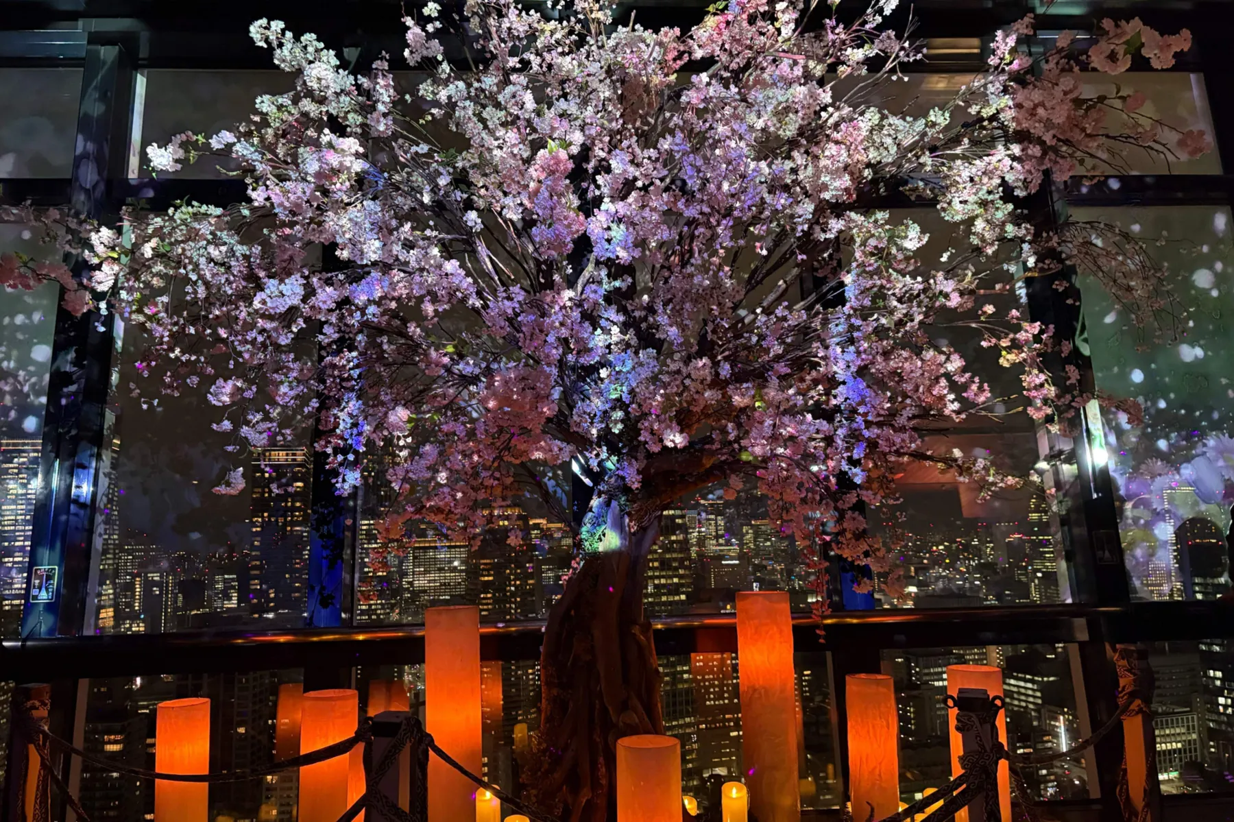 TOKYO TOWER CITY LIGHT FANTASIA - Spring Concerto 2026 -_15