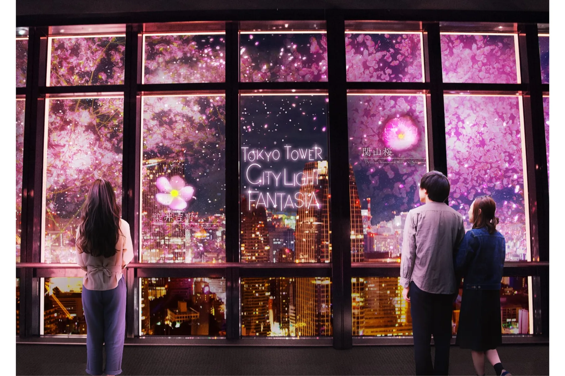TOKYO TOWER CITY LIGHT FANTASIA - Spring Concerto 2026 -_3