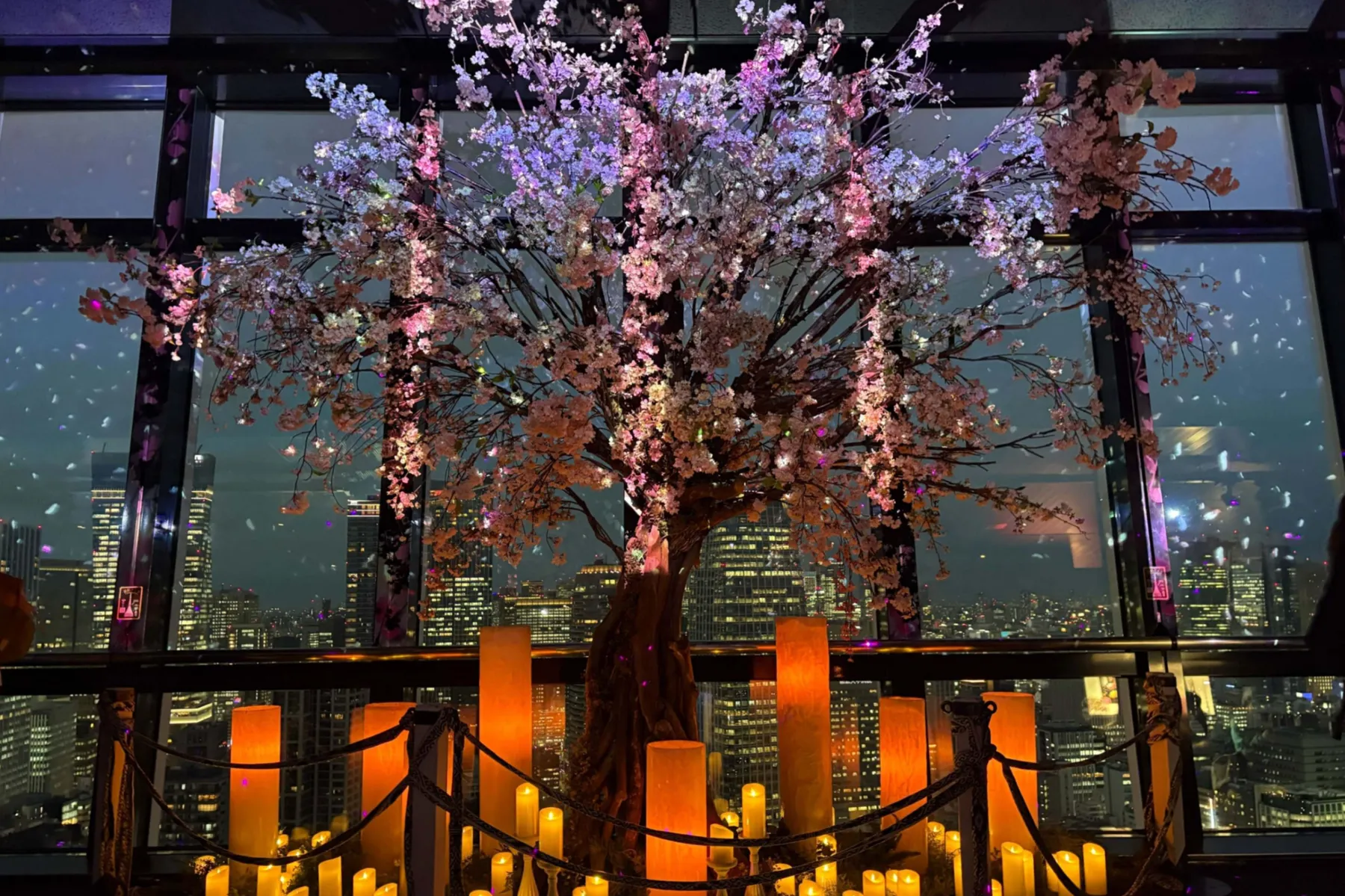 TOKYO TOWER CITY LIGHT FANTASIA - Spring Concerto 2026 -_4