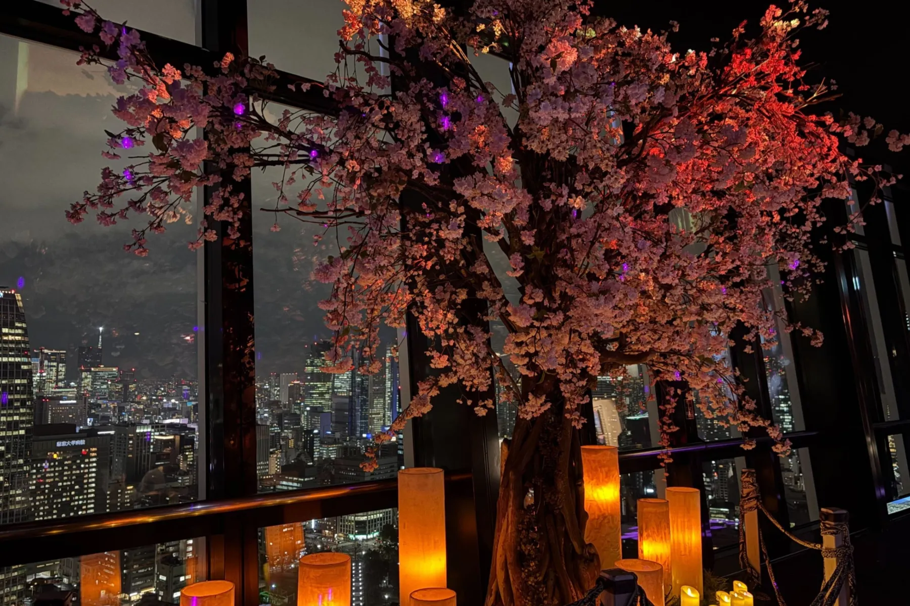 TOKYO TOWER CITY LIGHT FANTASIA - Spring Concerto 2026 -_5