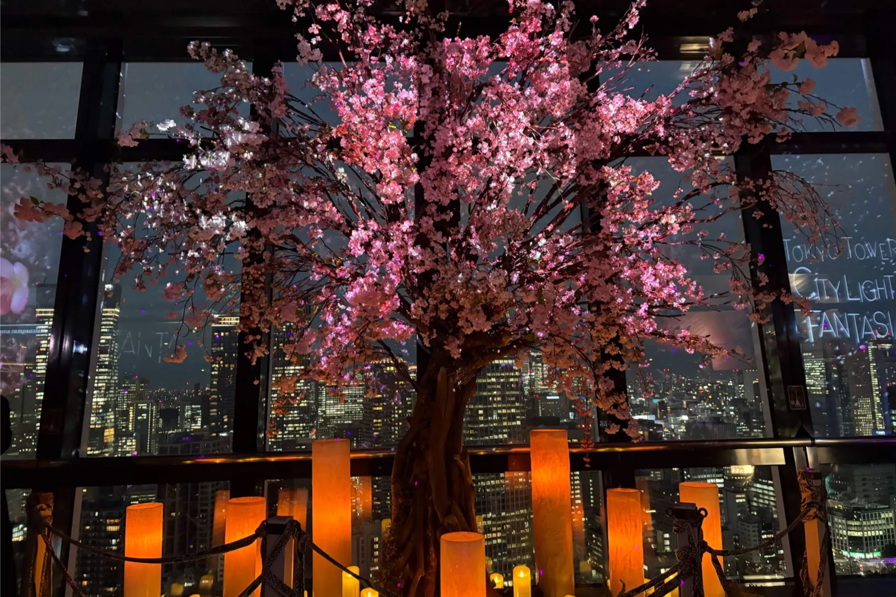 TOKYO TOWER CITY LIGHT FANTASIA - Spring Concerto 2026 -_8