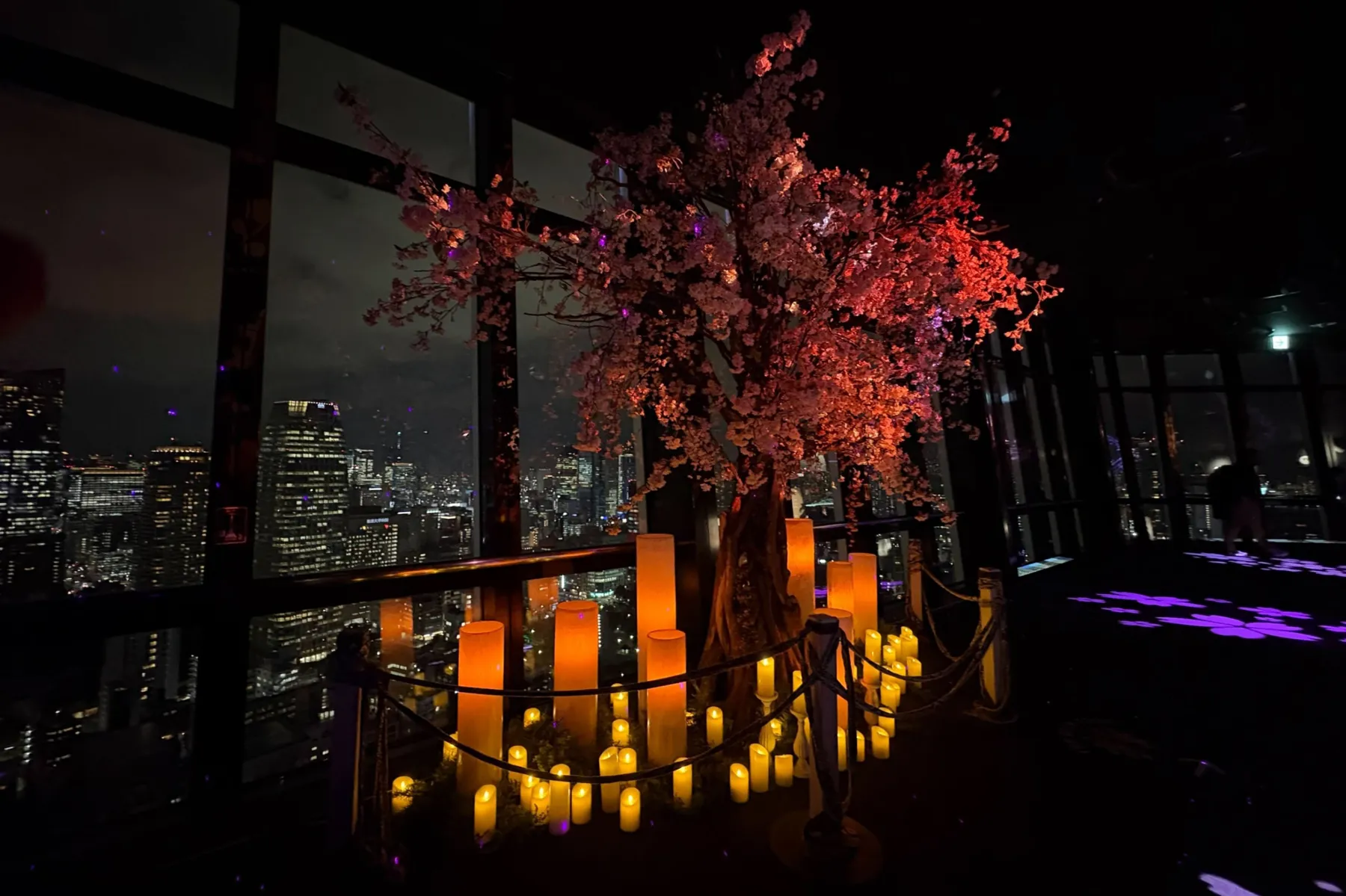 TOKYO TOWER CITY LIGHT FANTASIA - Spring Concerto 2026 -_9