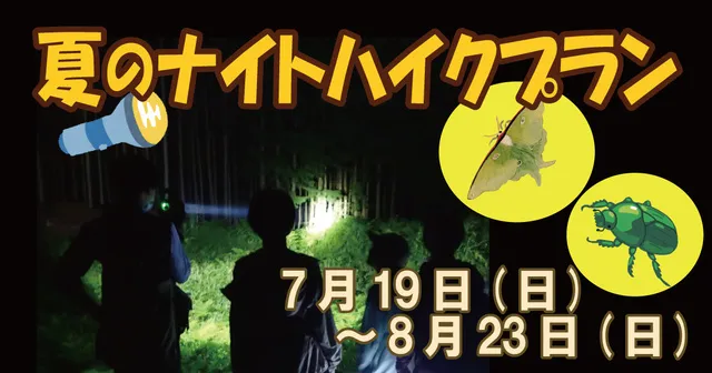 夏のナイトハイクプラン