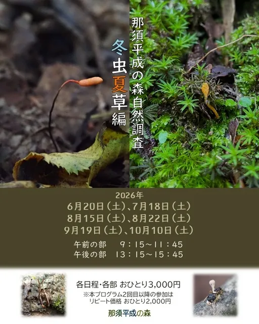 那須平成の森自然調査 ～冬虫夏草編～
