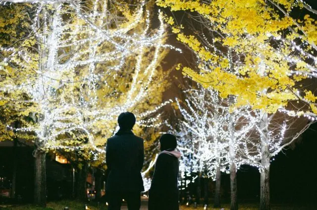 学びの森プロムナードイルミネーション