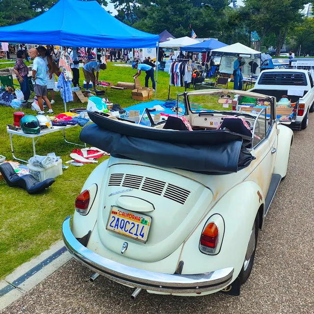 ハイキャラット京都2026（3月）