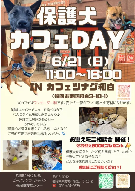 保護犬カフェDay＠カフェツナグ和白