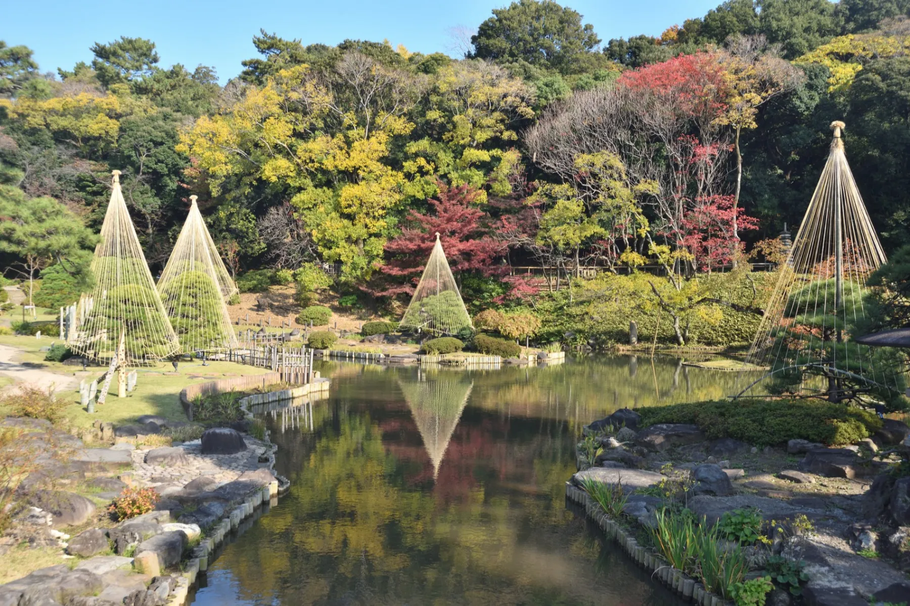 肥後細川庭園の紅葉情報_1