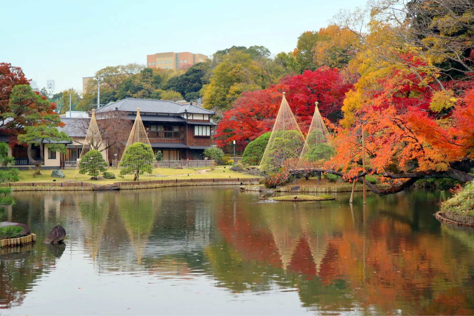 肥後細川庭園の紅葉情報_2