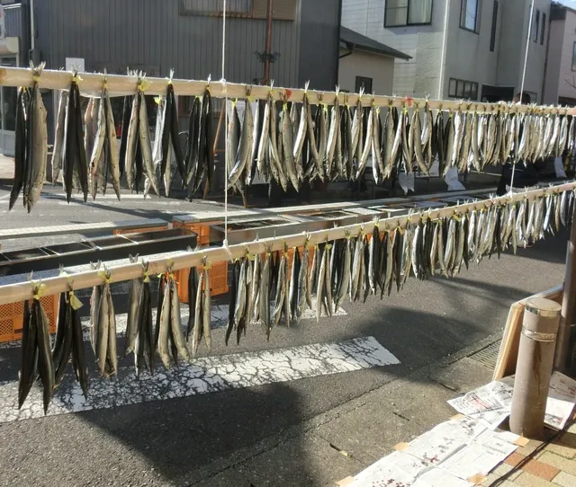 第11回熊野きのもとさんま祭り