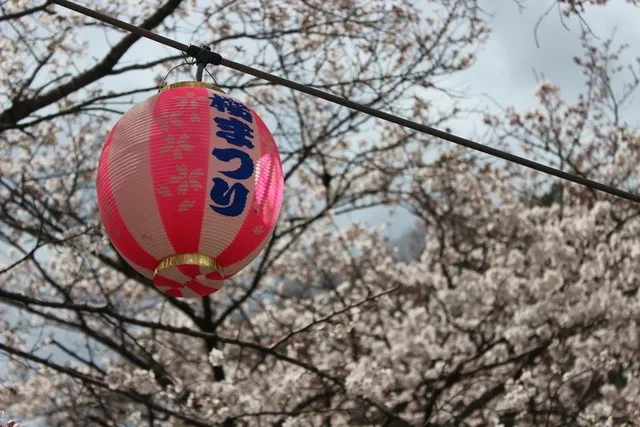 2026くろほね桜まつり