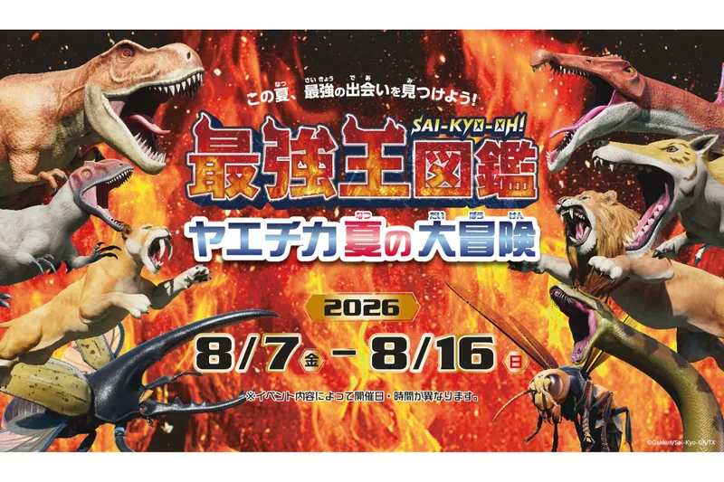 最強王図鑑 ヤエチカ夏の大冒険