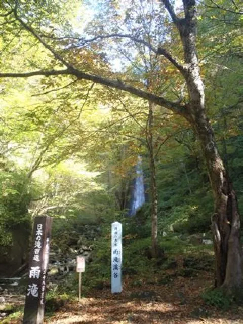 【紅葉・見ごろ】雨滝