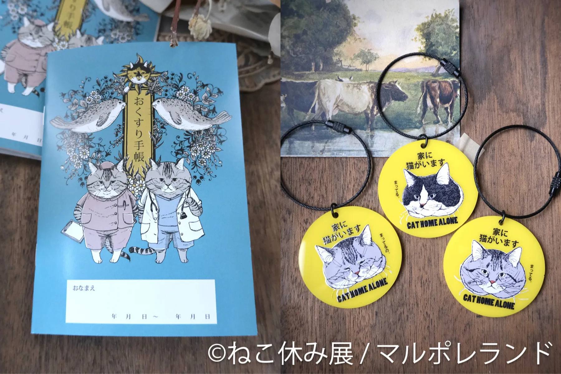 猫の合同写真展＆物販展イベント「ねこ休み展 夏 2026」_10