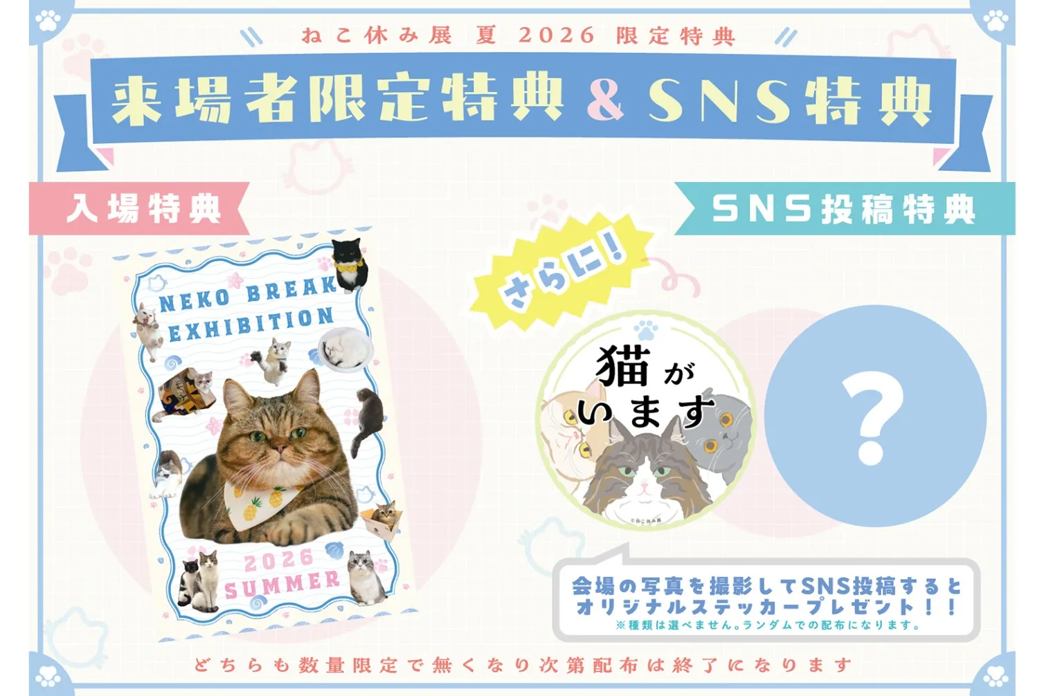猫の合同写真展＆物販展イベント「ねこ休み展 夏 2026」_14