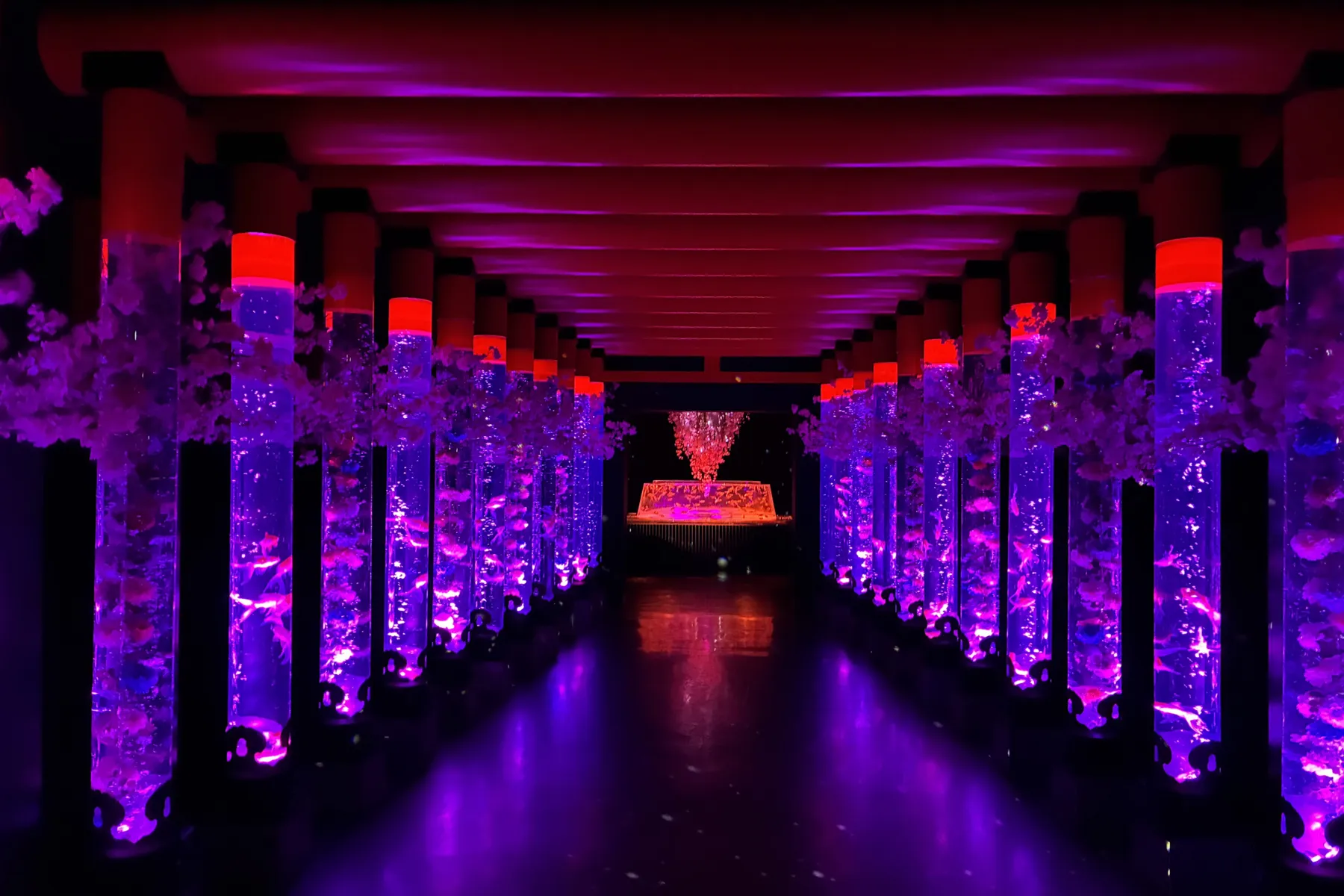 めっちゃ桜2026_4