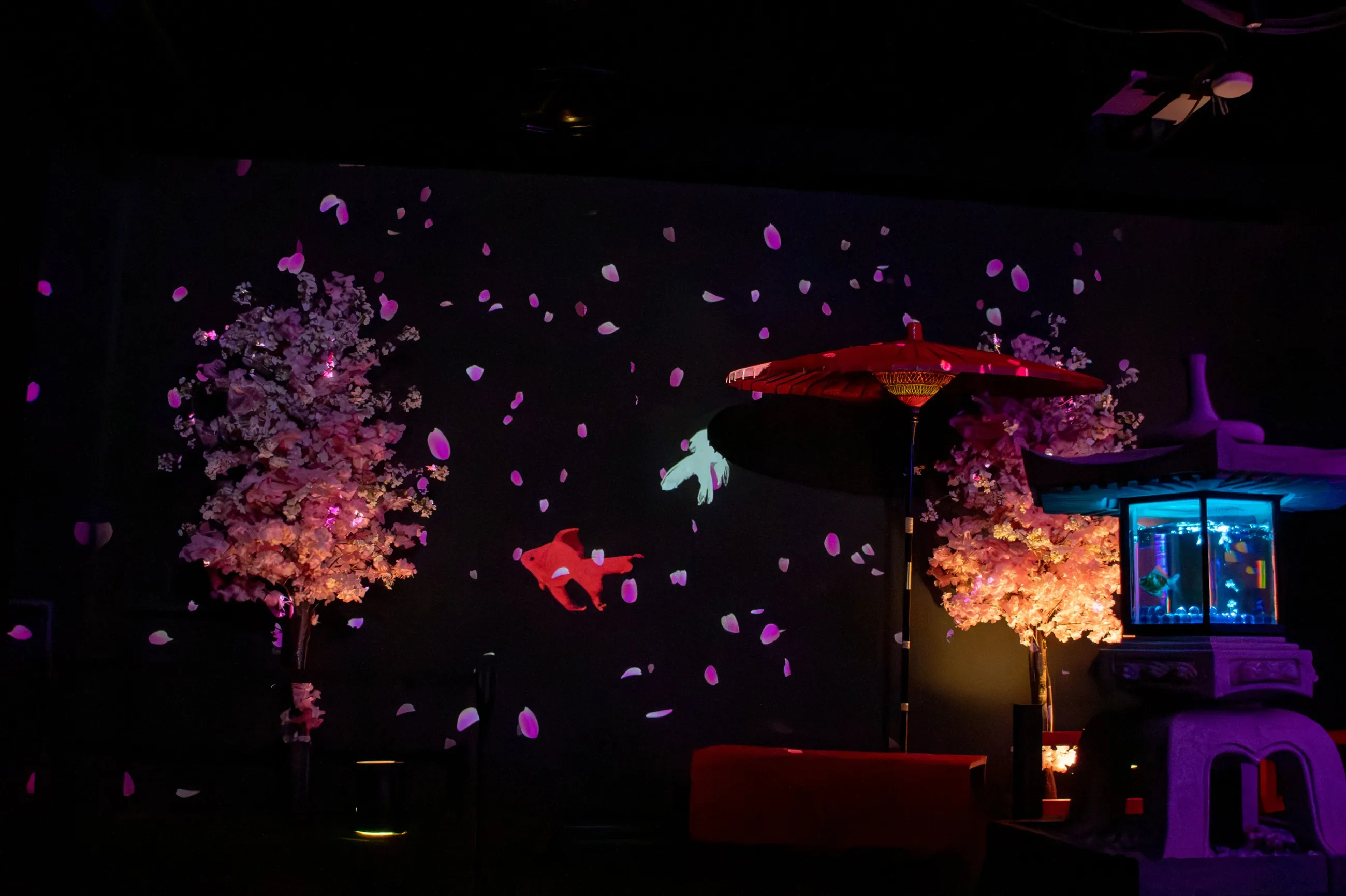 めっちゃ桜2026