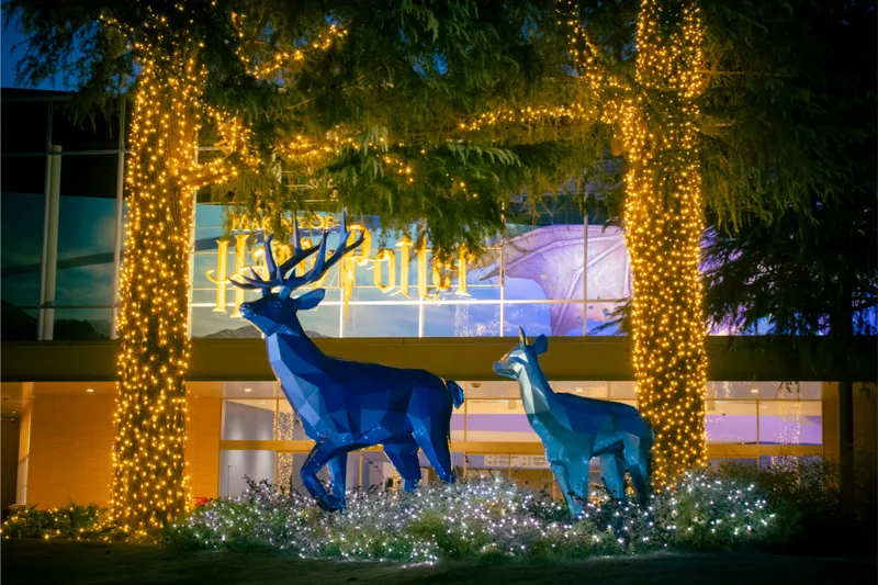 スタジオツアー東京 クリスマスライトアップ_2