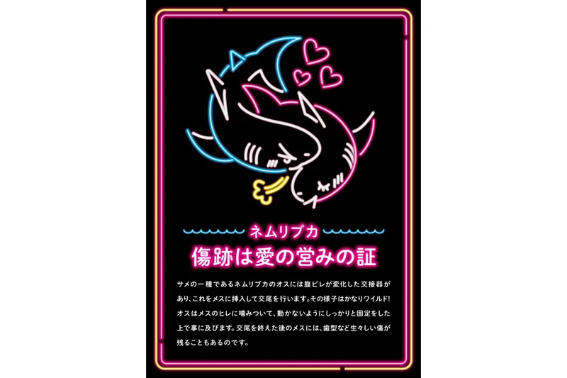 解説パネルイメージ