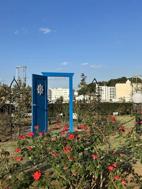 【花・見ごろ】ヴェルニー公園のバラ
