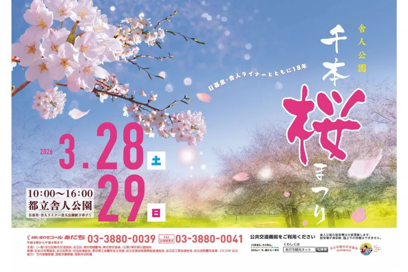 舎人公園千本桜まつり_1