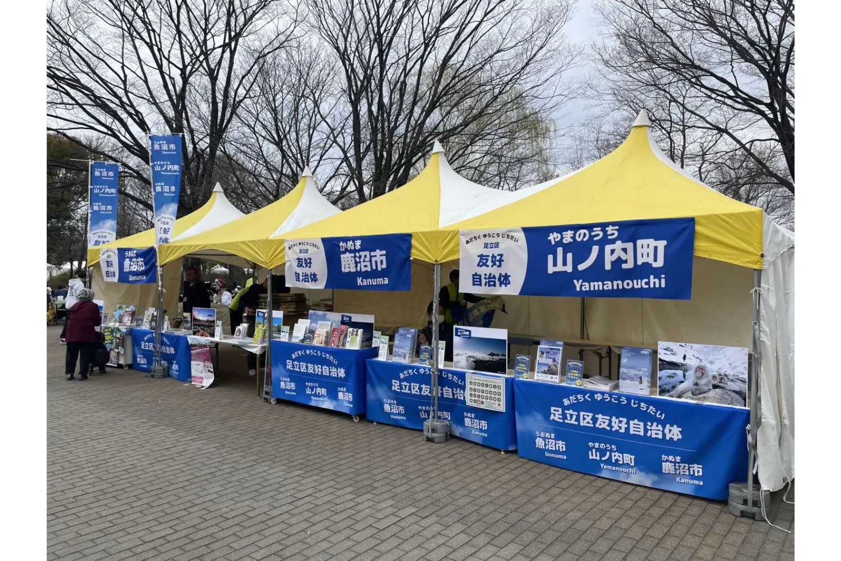 舎人公園千本桜まつり_5