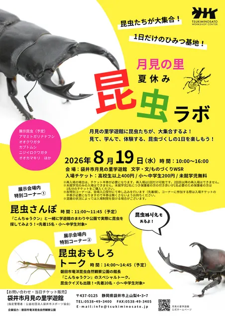 月見の里夏休み昆虫ラボ