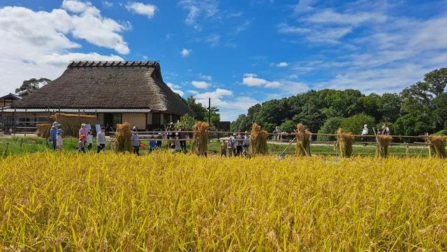 あいな里山公園　里山まつり