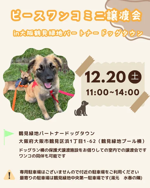 ミニ譲渡会in大阪鶴見緑地パートナードッグタウン